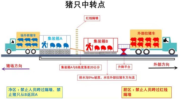 有幸躲過非瘟 (2).jpg